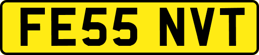 FE55NVT