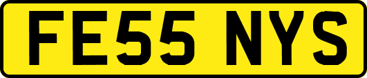 FE55NYS