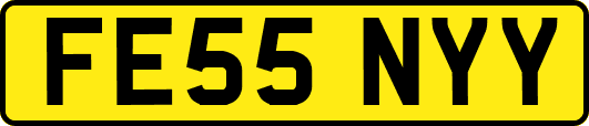 FE55NYY
