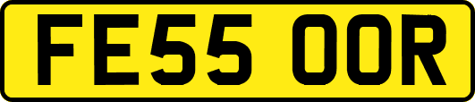 FE55OOR