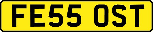 FE55OST