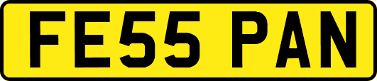 FE55PAN