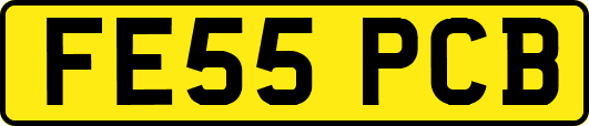 FE55PCB