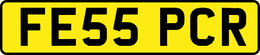 FE55PCR