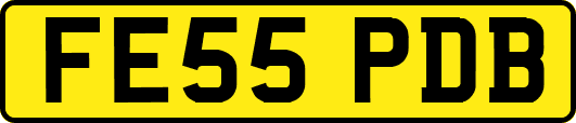 FE55PDB