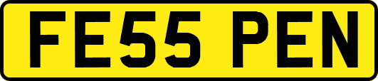 FE55PEN
