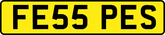 FE55PES