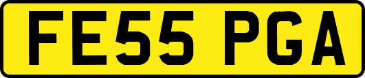 FE55PGA