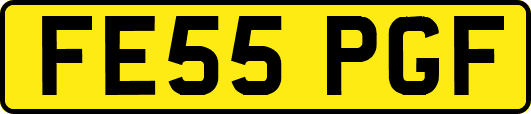 FE55PGF