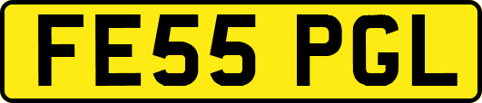FE55PGL
