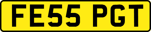FE55PGT