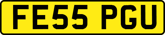 FE55PGU