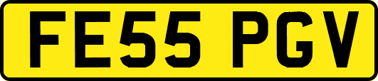FE55PGV