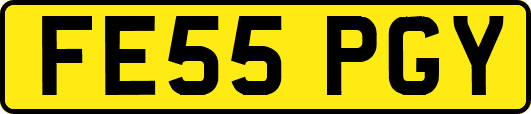 FE55PGY