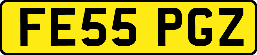FE55PGZ