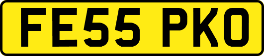 FE55PKO