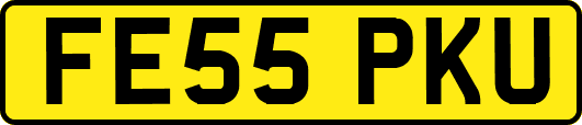 FE55PKU