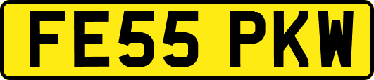 FE55PKW