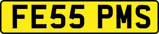 FE55PMS