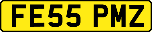 FE55PMZ