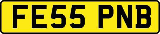 FE55PNB