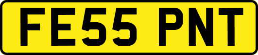 FE55PNT