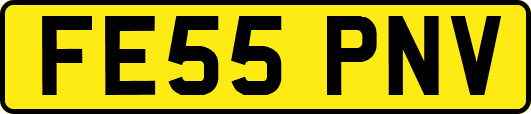 FE55PNV
