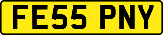 FE55PNY