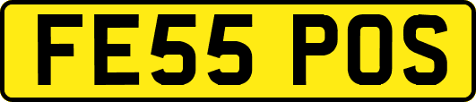 FE55POS