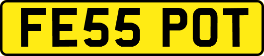 FE55POT