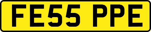 FE55PPE