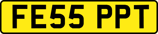 FE55PPT