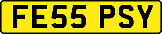 FE55PSY