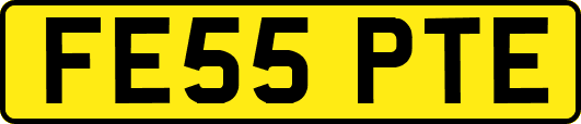 FE55PTE