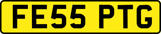 FE55PTG