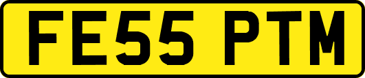 FE55PTM