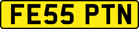 FE55PTN