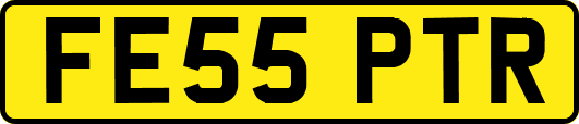 FE55PTR
