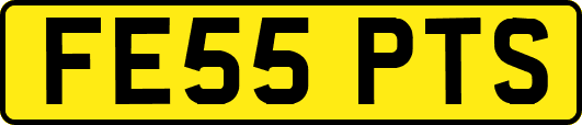 FE55PTS