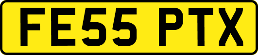 FE55PTX