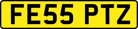 FE55PTZ