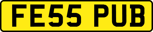 FE55PUB
