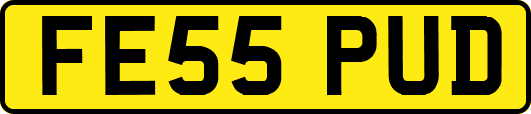 FE55PUD