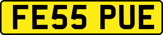 FE55PUE