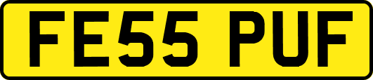 FE55PUF