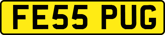 FE55PUG