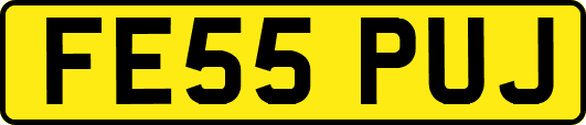 FE55PUJ