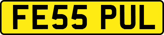 FE55PUL