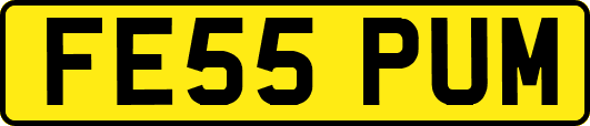 FE55PUM