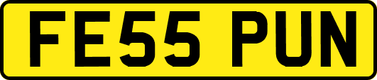 FE55PUN